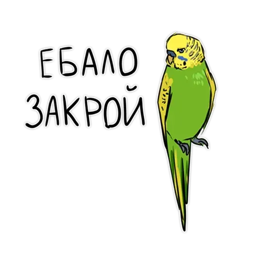 Попугаи - Sticker 29