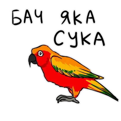 Попугаи - Sticker 30