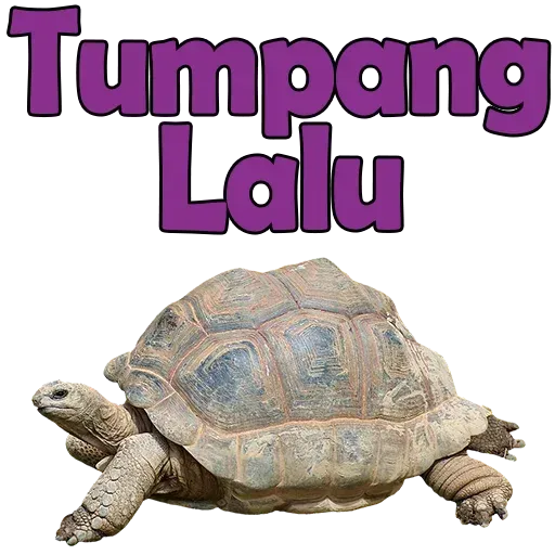 Tera3 - Sticker 23
