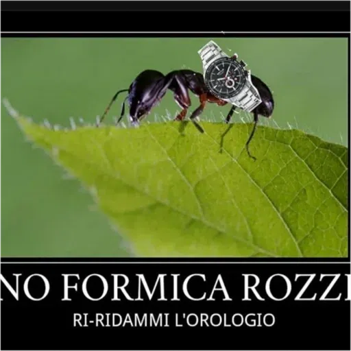 Lote - Sticker 13