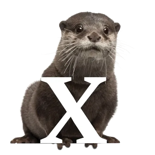 Focalfabeto - Sticker 24