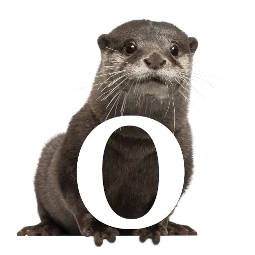 Focalfabeto - Sticker 15