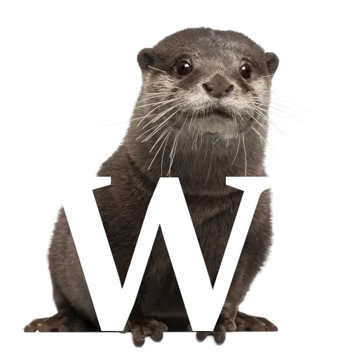 Focalfabeto - Sticker 23
