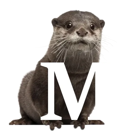 Focalfabeto - Sticker 13