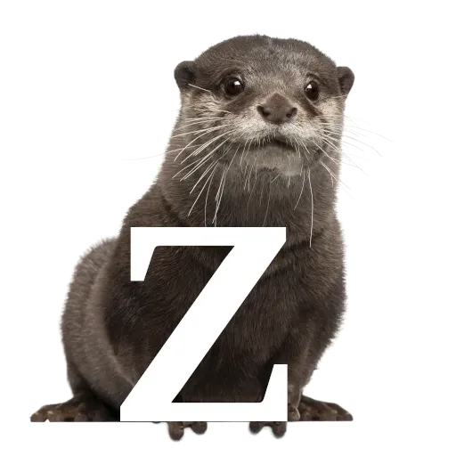 Focalfabeto - Sticker 26