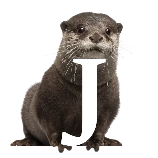 Focalfabeto - Sticker 10