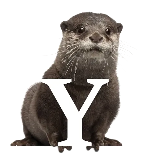 Focalfabeto - Sticker 25