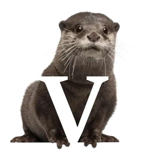 Focalfabeto - Sticker 22