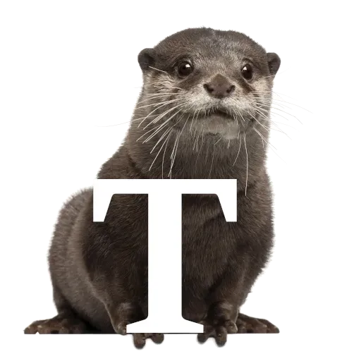 Focalfabeto - Sticker 20