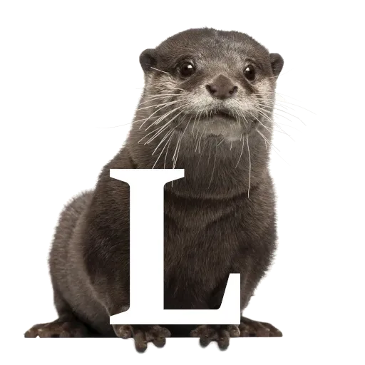 Focalfabeto - Sticker 12