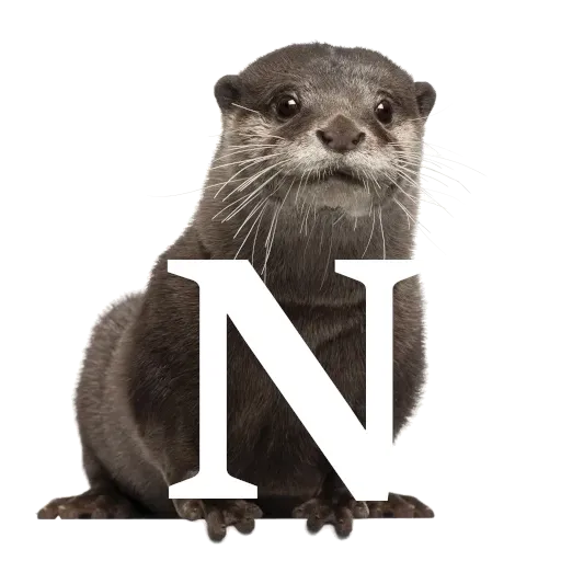 Focalfabeto - Sticker 14