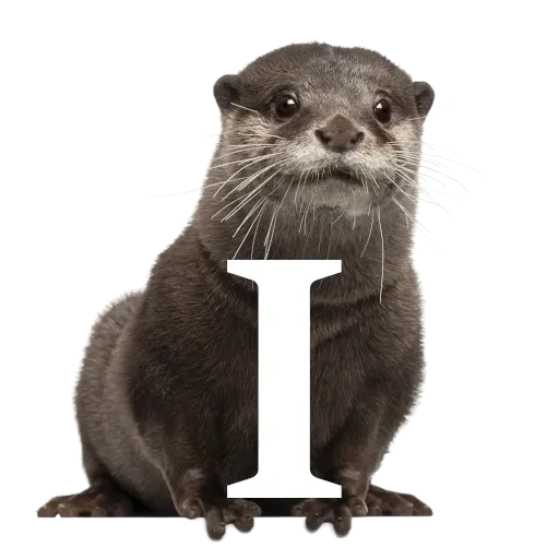 Focalfabeto - Sticker 9