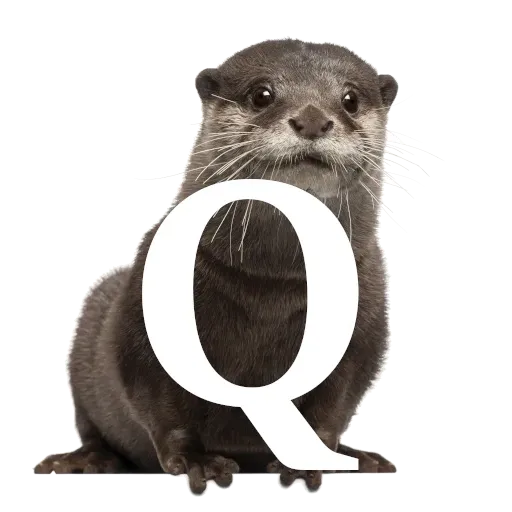 Focalfabeto - Sticker 17
