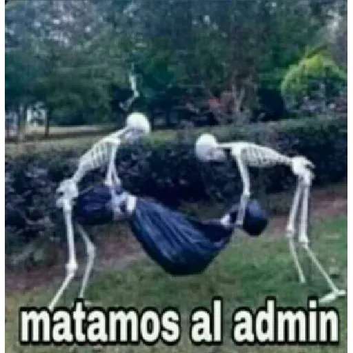 Ahora sos el admin - Sticker 11