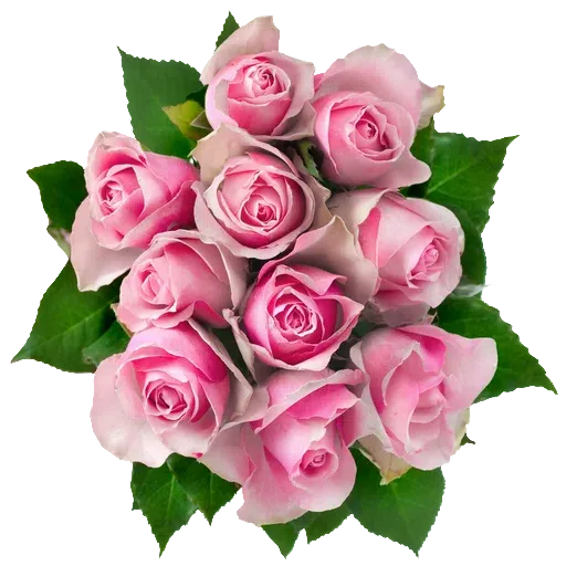 Pink Flowers @ykinanah - Sticker 27
