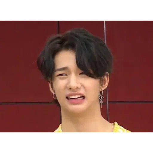 stray kids - Sticker 9