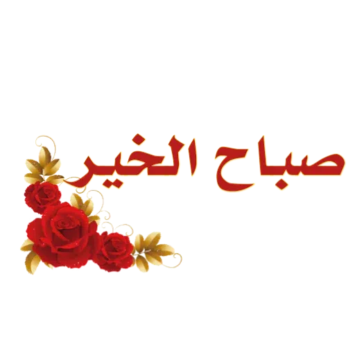 Dini - Sticker 20