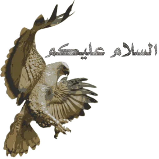 Dini - Sticker 17