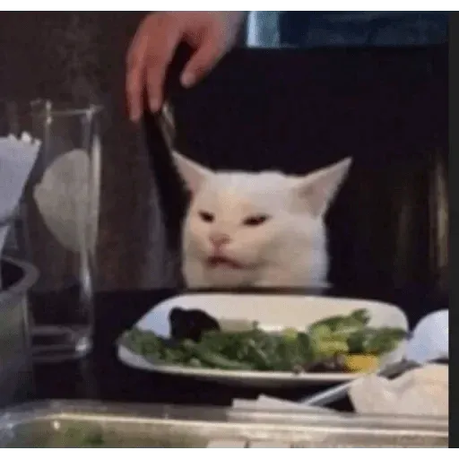 Meme - Sticker 15