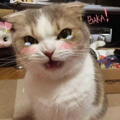 Meow - Sticker 19