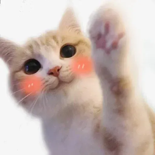Meow - Sticker 10