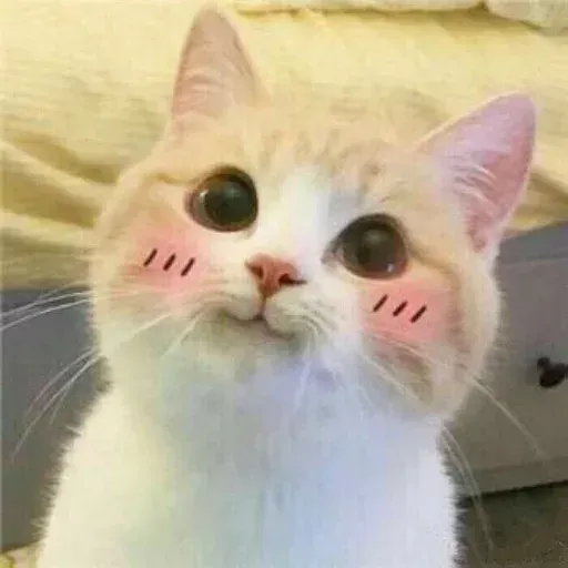 Meow - Sticker 11