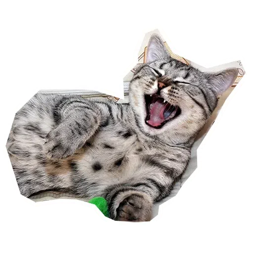 cat - Sticker 27