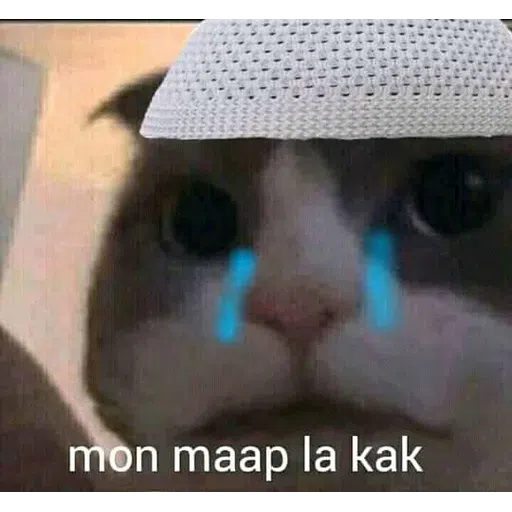 ca - Sticker 27