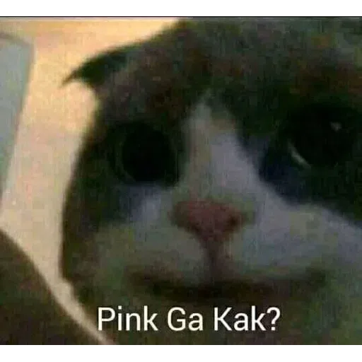 ca - Sticker 29