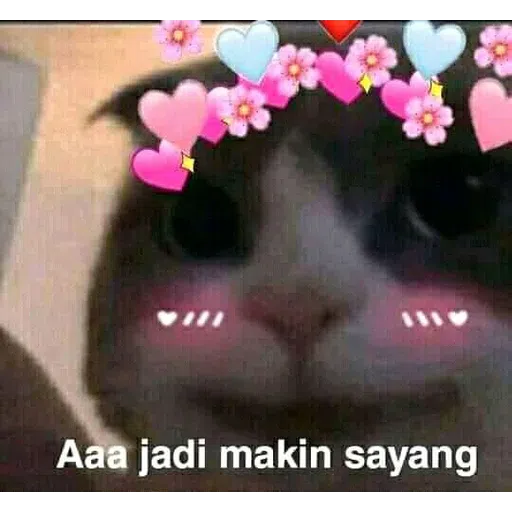 ca - Sticker 21