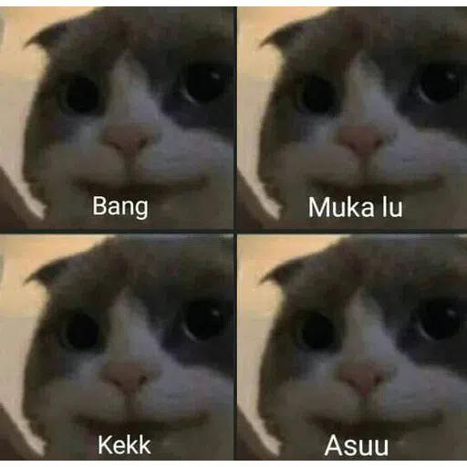 ca - Sticker 26
