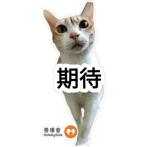 朗朗澄澄 - Sticker 9