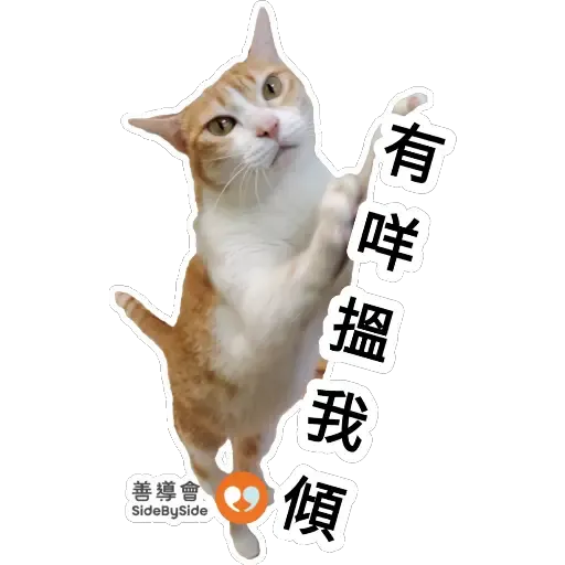朗朗澄澄 - Sticker 10