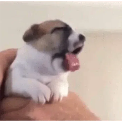 UwU - Sticker 19