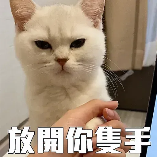 🐱 - Sticker 25