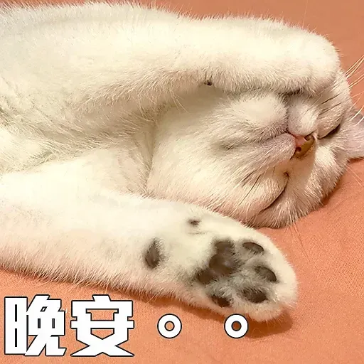🐱 - Sticker 13