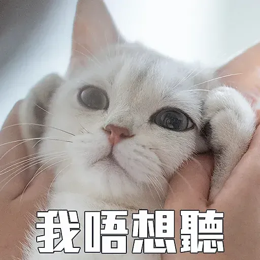 🐱 - Sticker 9