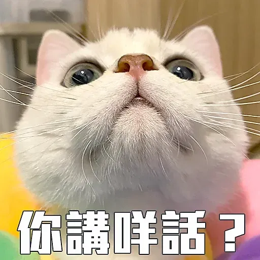 🐱 - Sticker 24