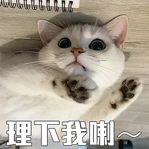 🐱 - Sticker 18