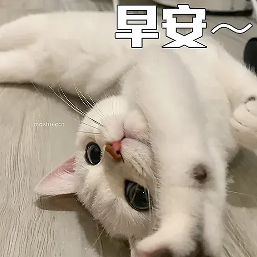 🐱 - Sticker 12