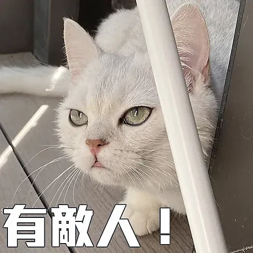 🐱 - Sticker 20
