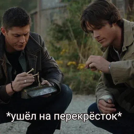 Защита прав импалы - Sticker 10