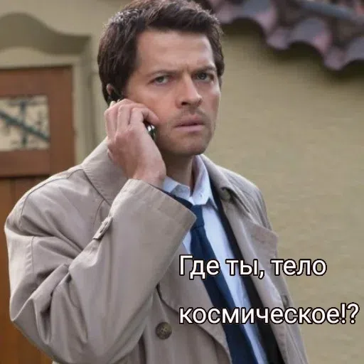Защита прав импалы - Sticker 14