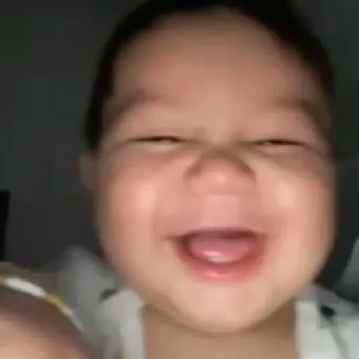 TikTok Animated Memes 8 - Sticker 23