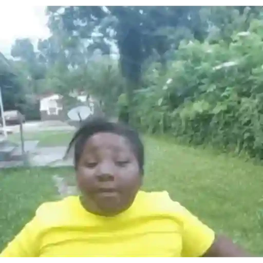 TikTok Animated Memes 8 - Sticker 10