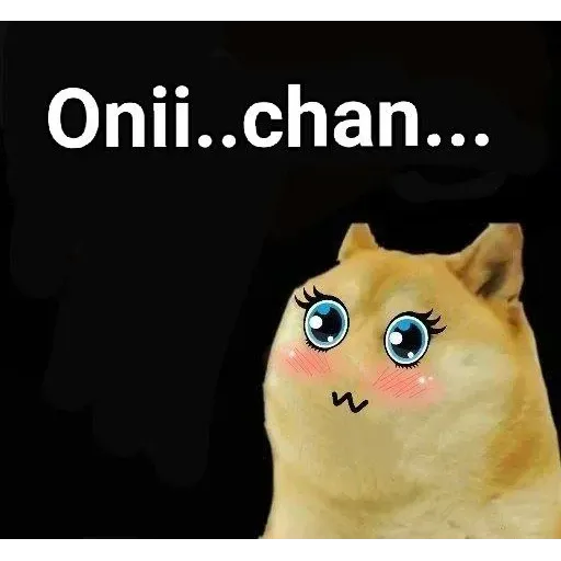 Doge - Sticker 17