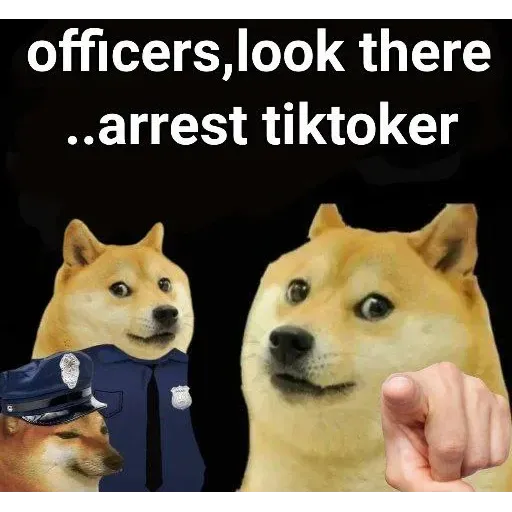 Doge - Sticker 13