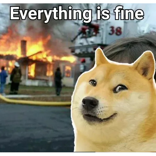 Doge - Sticker 22