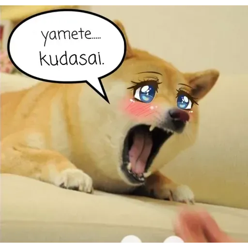 Doge - Sticker 15