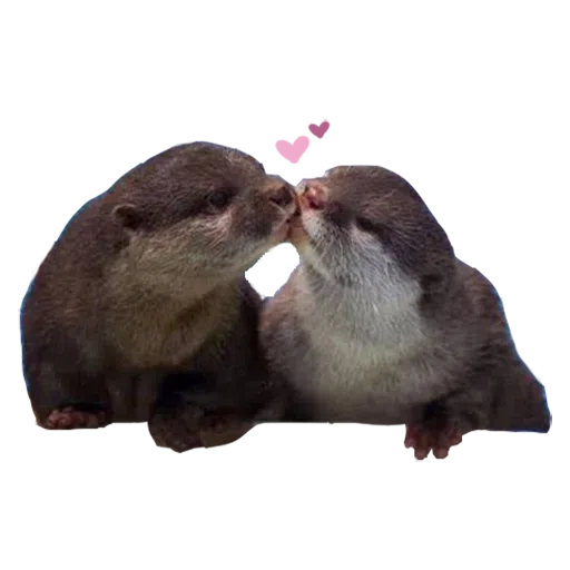 Random stickers - Sticker 18